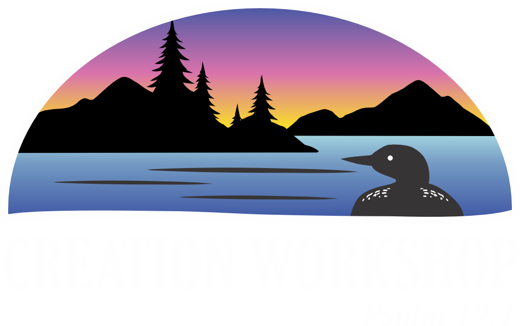 Creation Workshop